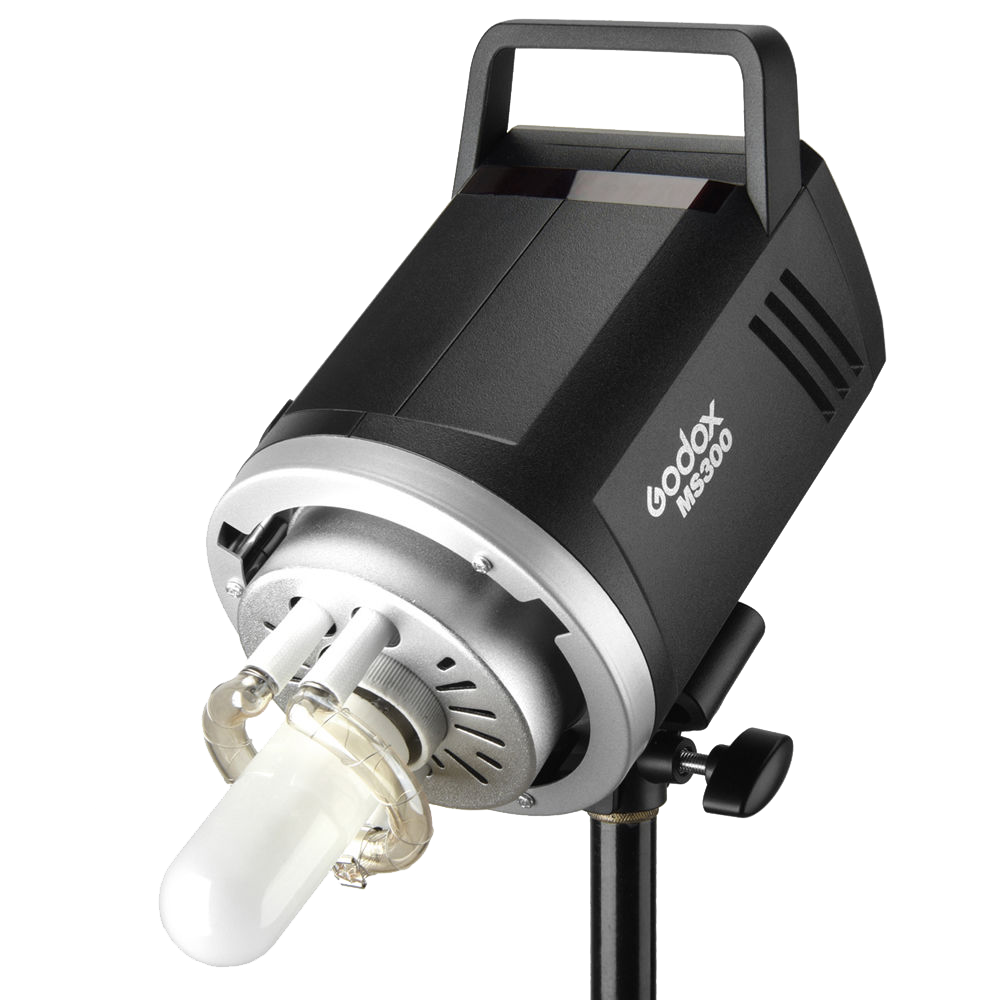 Godox MS300-F 2-Monolight Kit
