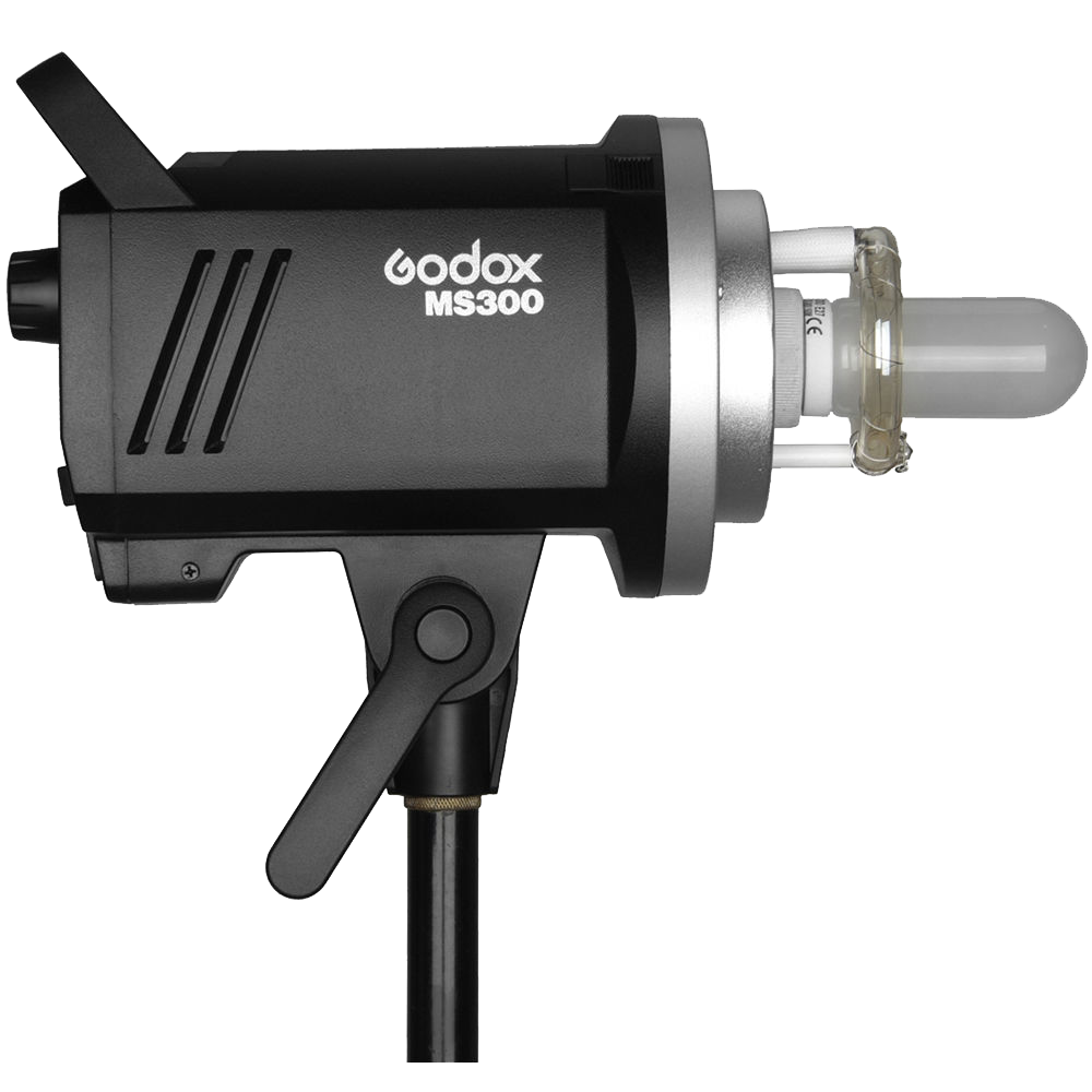 Godox MS300-F 2-Monolight Kit