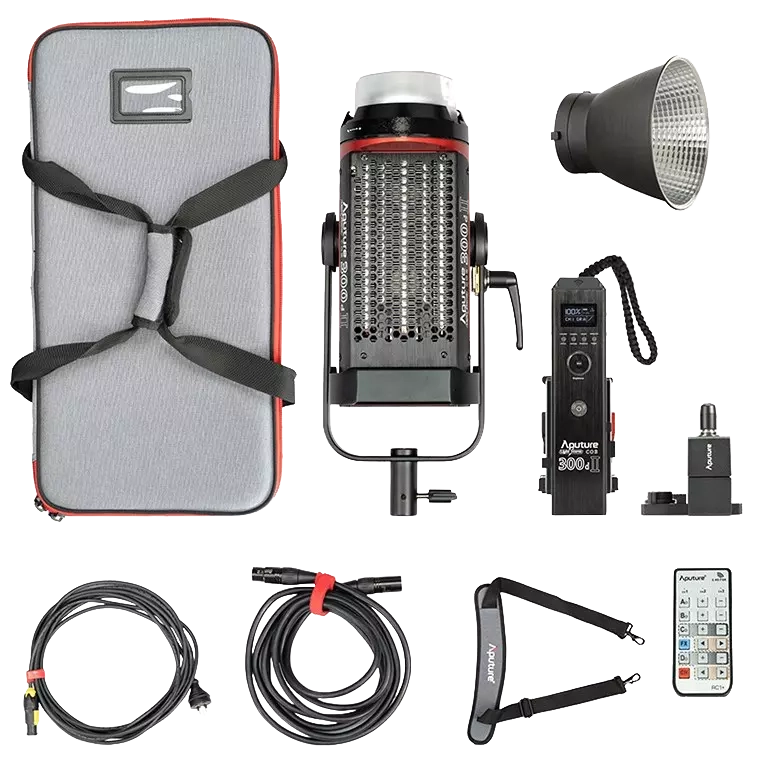 Aputure LS 300d II Daylight LED Monolight (V-Mount)