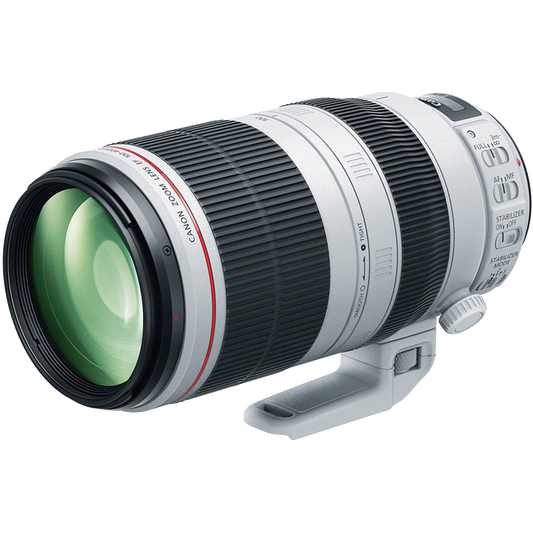 Canon EF 100-400mm f/4.5-5.6L IS II USM Lens