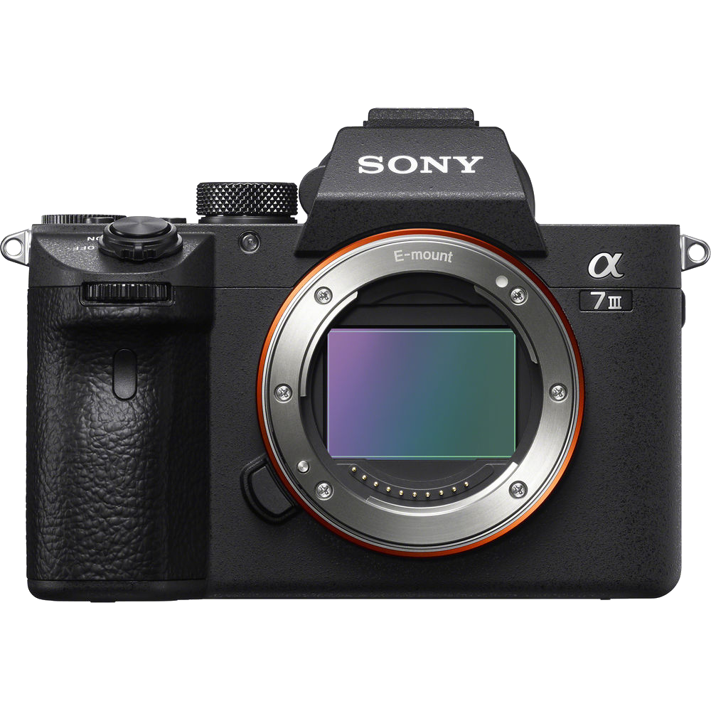 Sony a7 III Mirrorless Camera with 28-70mm f/3.5-5.6 Lens