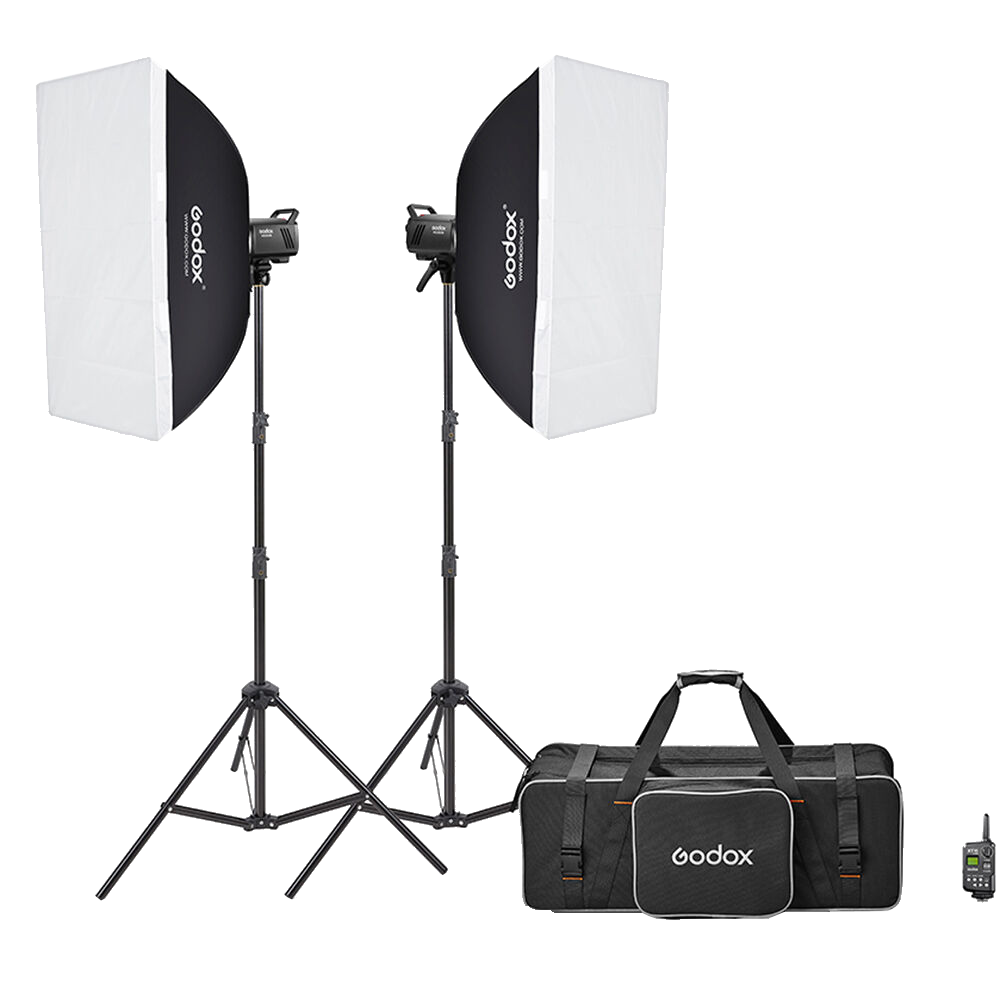 Godox MS300-V Studio Flash Monolight (2-Light Kit)