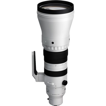 Sigma 300-600mm f/4 DG OS Sports Lens (Sony E)