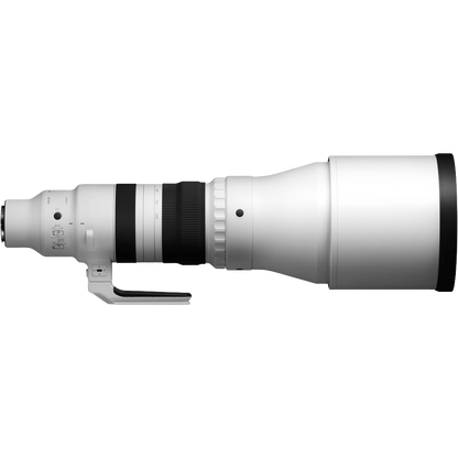 Sigma 300-600mm f/4 DG OS Sports Lens (Sony E)