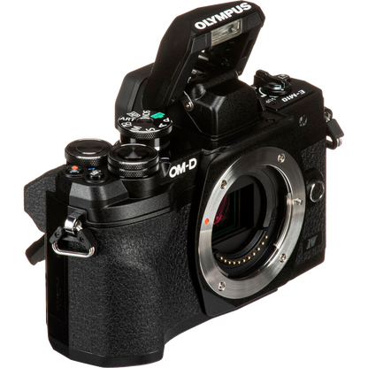 Olympus OM-D E-M10 Mark IV Mirrorless Camera (Black)