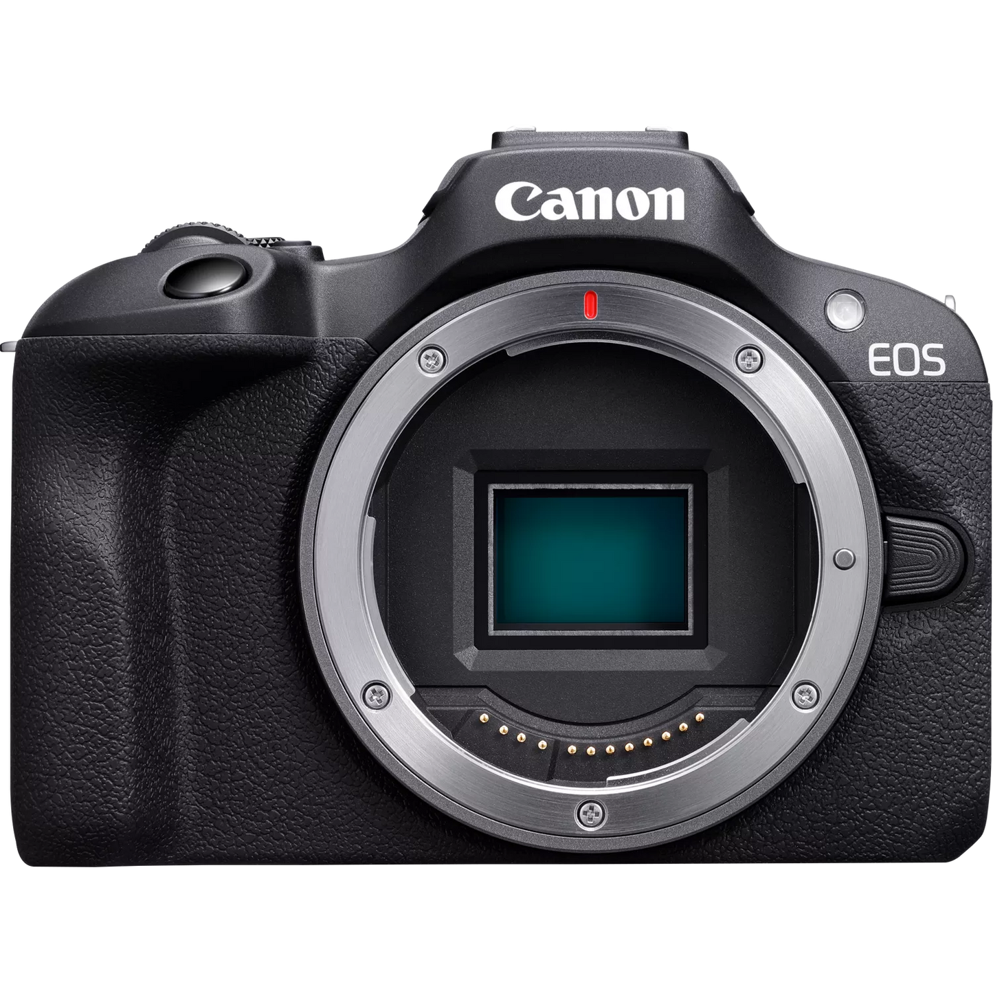 Canon EOS R100 Mirrorless Camera + RF-S 18-45mm F4.5-6.3 IS STM Lens + RF 75-300mm F4-5.6 Lens