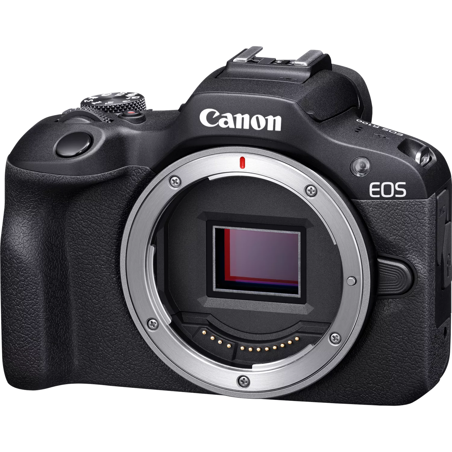 Canon EOS R100 Mirrorless Camera + RF-S 18-45mm F4.5-6.3 IS STM Lens + RF 75-300mm F4-5.6 Lens
