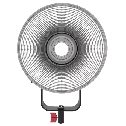 Aputure LS 300d II Daylight LED Monolight (V-Mount)