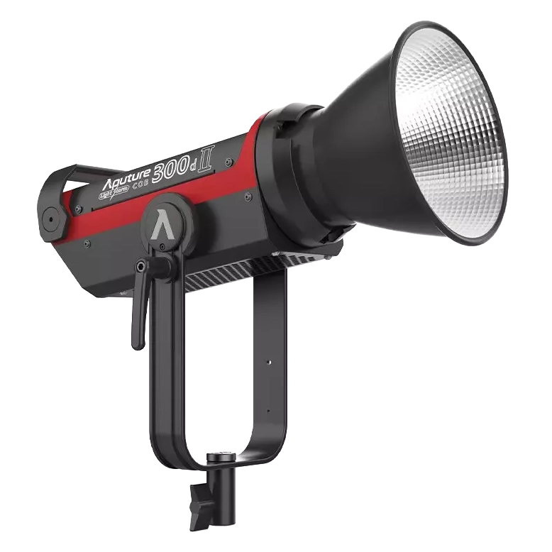 Aputure LS 300d II Daylight LED Monolight (V-Mount)