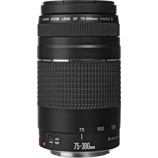 Canon EF 75-300mm f/4-5.6 III Lens