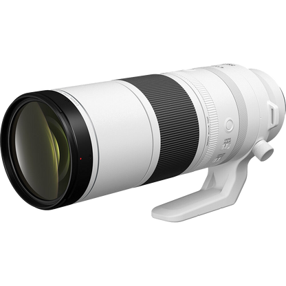 Canon RF 200-800mm f/6.3-9 IS USM Lens