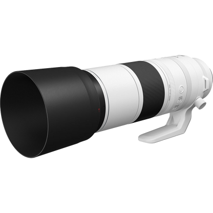 Canon RF 200-800mm f/6.3-9 IS USM Lens