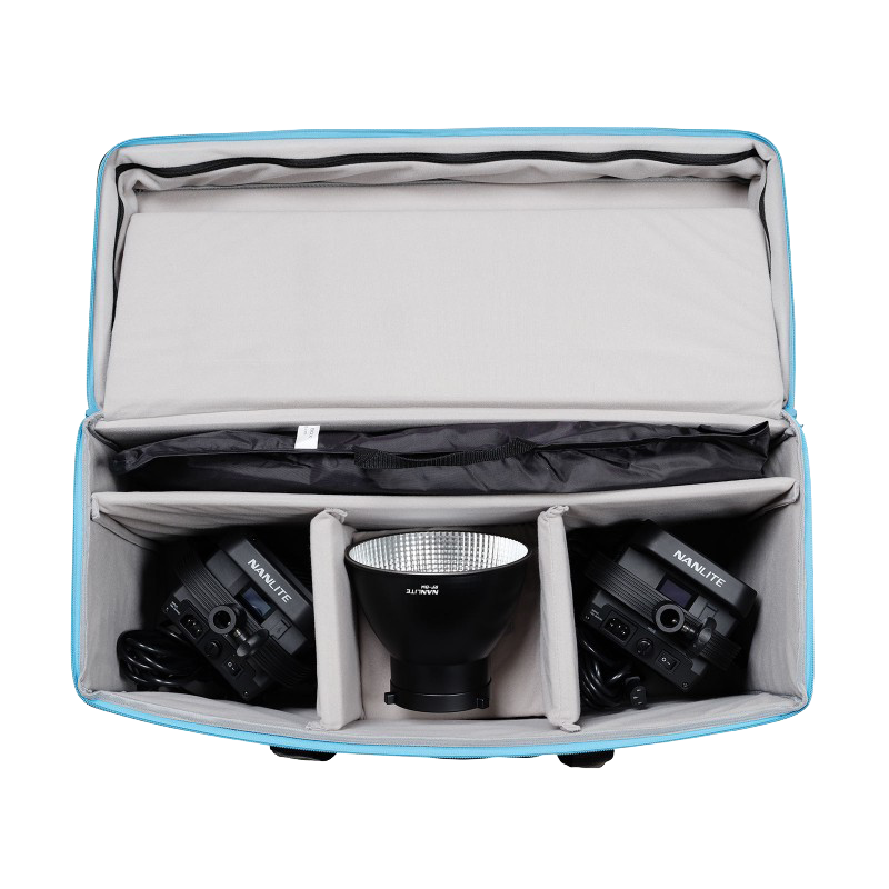 Nanlite FS-200B 2KIT with light stand