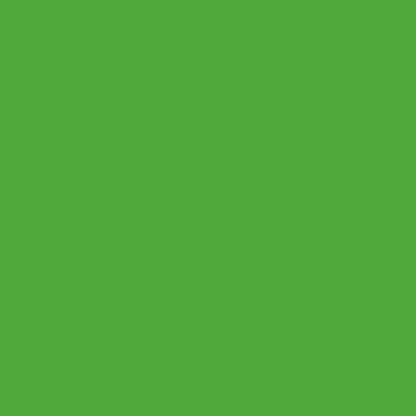 Selens Seamless Photography Background Paper Roll 2.7x10m (Whiskey Green)